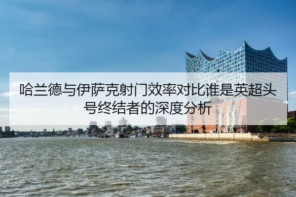 ha-lan-de-yu-yi-sa-ke-she-men-xiao-lv-dui-bi-shui-shi-ying-chao-tou-hao-zhong-jie-zhe-de-shen-du-fen-xi-2-693.jpg