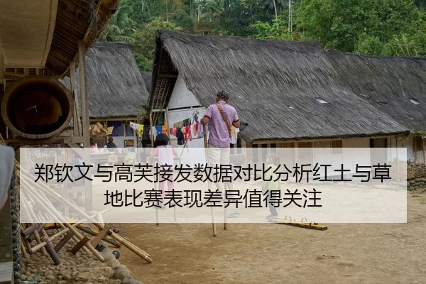 郑钦文与高芙接发数据对比分析红土与草地比赛表现差异值得关注
